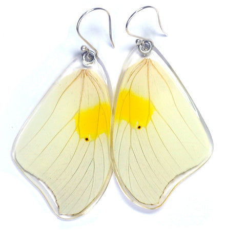 Buy Yellow Chimes Blue Butterfly Designed Dangle Drop Earrings online